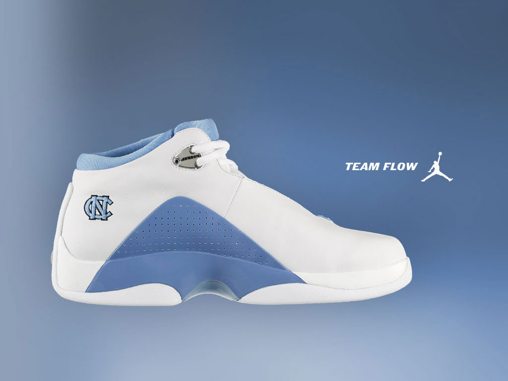 UNC Team Flow Nike Shoes