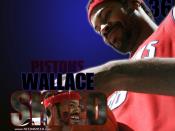 Rasheed Wallace Wallpaper