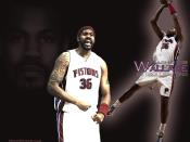 Rasheed Wallace Wallpaper 1