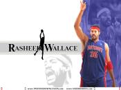 Rasheed Wallace Wallpaper 2