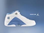 UNC Team Flow Nike Shoes